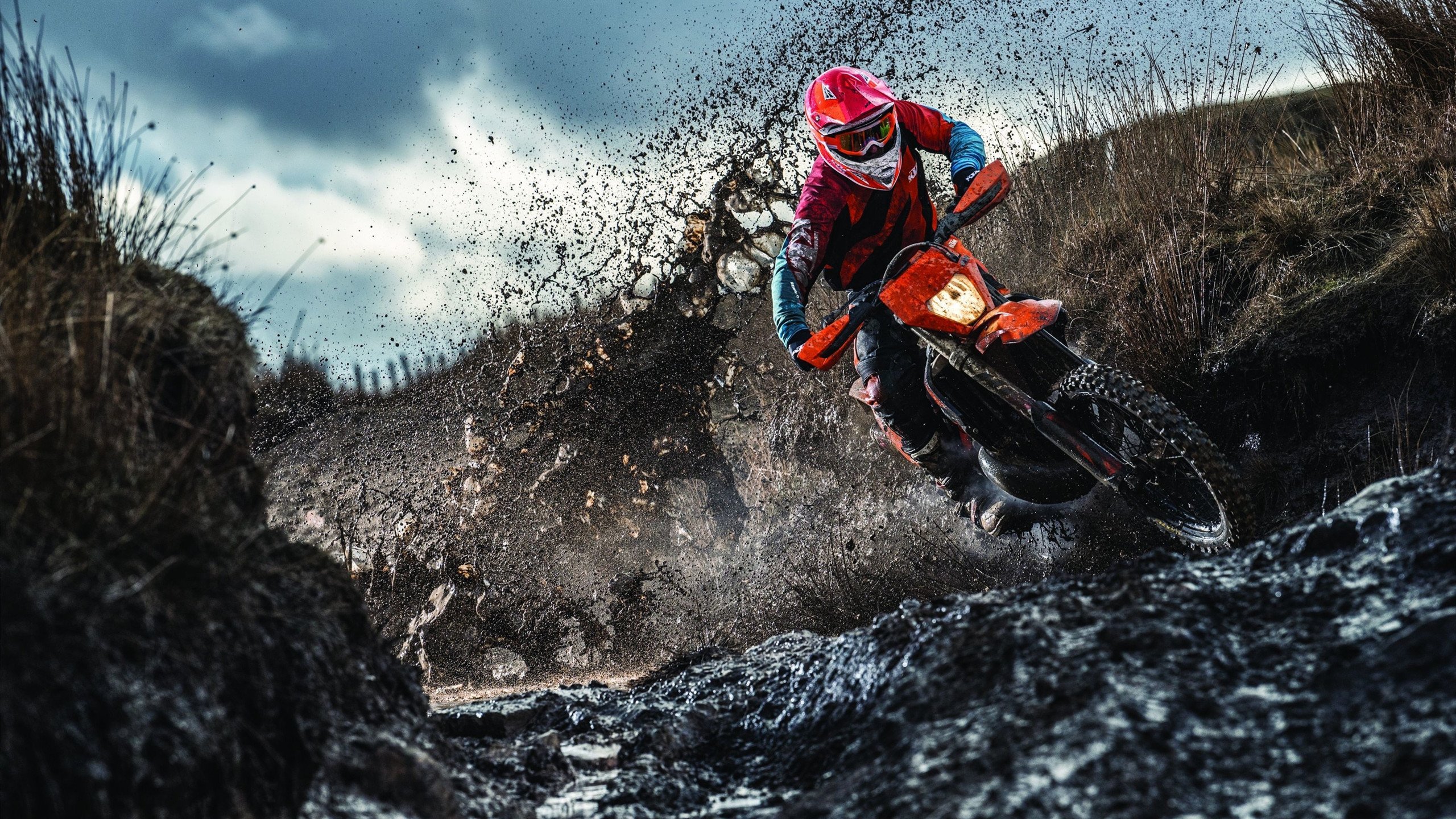 “诺克·达维德·彼得森的领导力，助力南非羚羊队攻城略地”