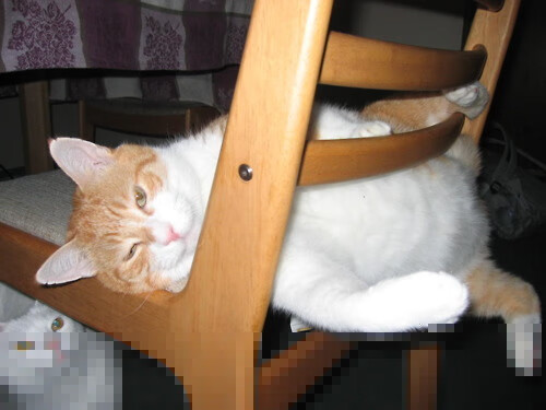 _云端天幕跑：虚拟现实中的极速飞行_，云端天空