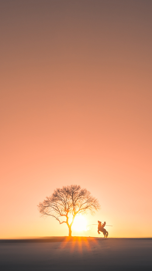 _冬奥会冰壶预热:技巧与策略的精彩演绎_,冬奥会项目冰壶规则