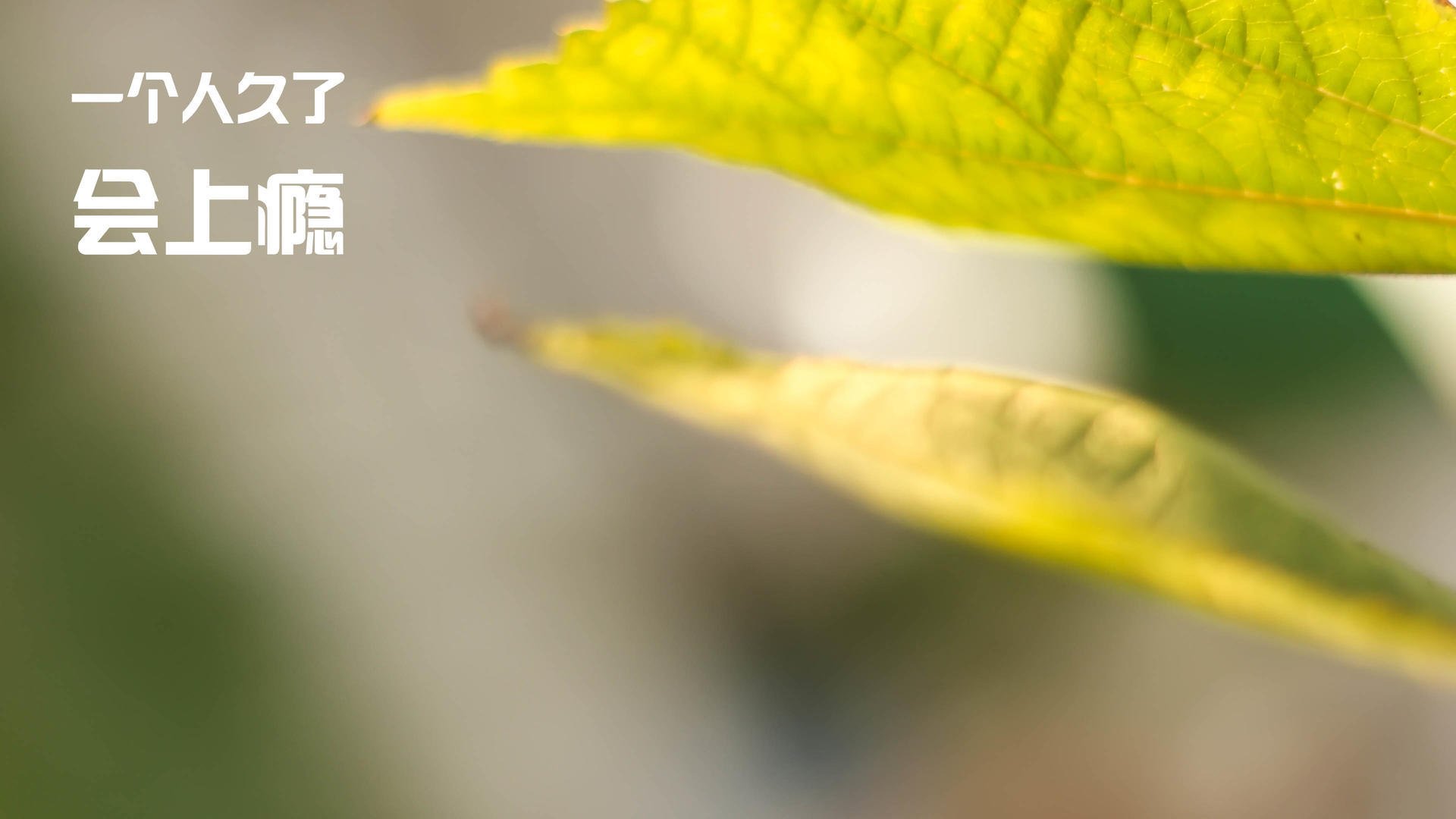 九游oplastic_ 法甲豪门最新引援引发热议，法甲豪门排名