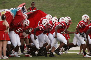 九游下载安装-球迷助威声点燃比赛氛围，球迷助威口号