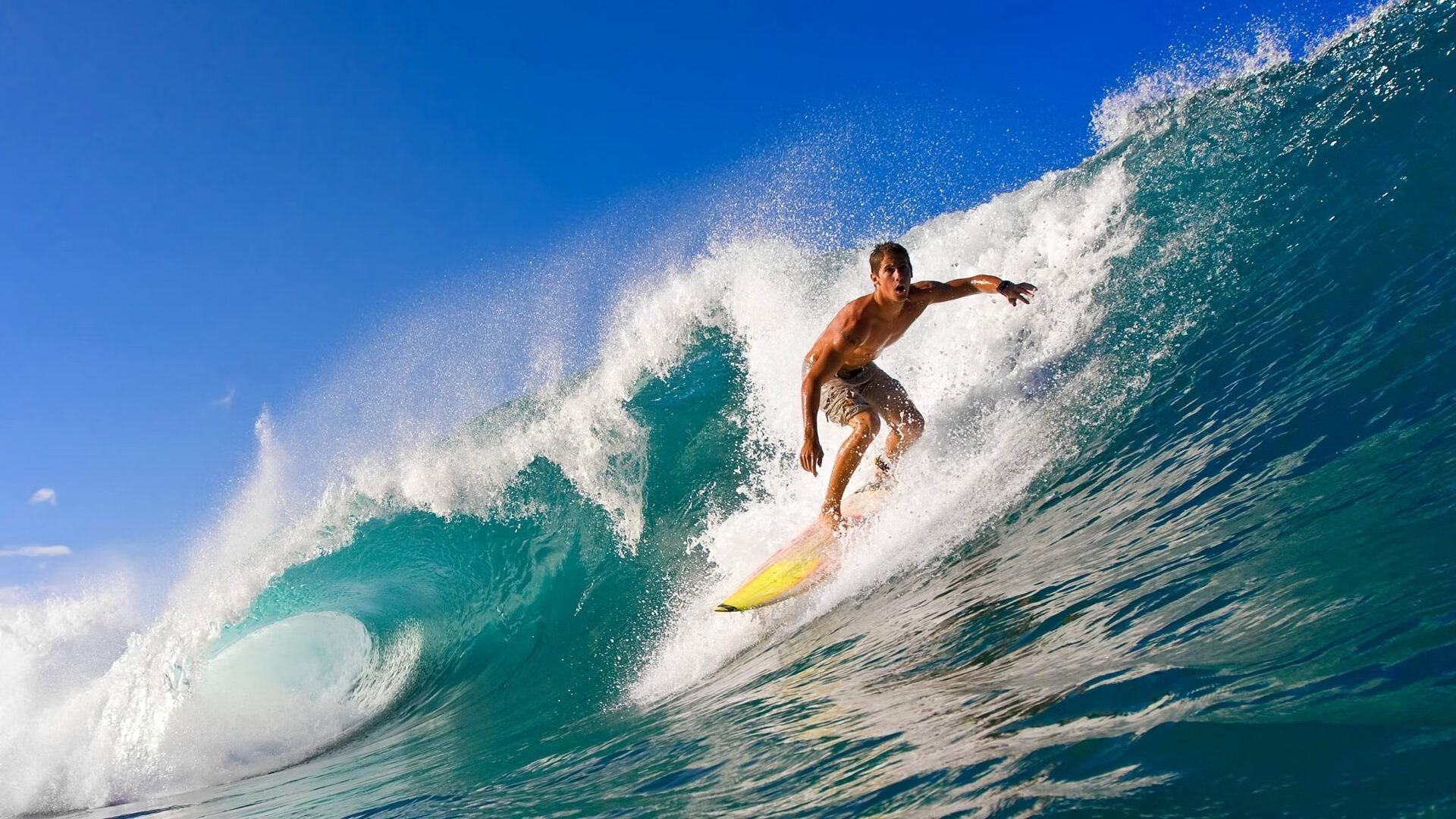 JIUYOU GAMING-裁判管理系统上线全面提升赛场执法透明度与统一标准，裁判员管理官网